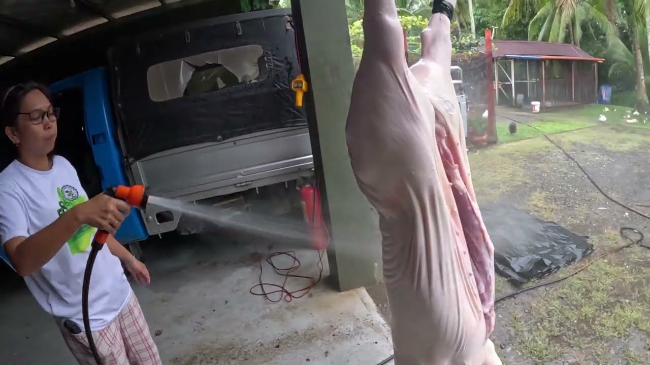 Перестройка переносного курятника, приготовление китайского куриного бульона, подвешивание 95-кил...