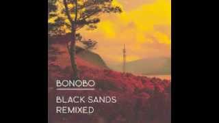 Bonobo - Brace Brace chords