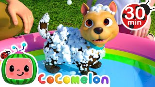 Bingo's Bath Song And More! | Learning Healthy Habits | Cocomelon Nursery Rhymes & Kids Songs