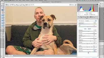 Using Camera Raw Files