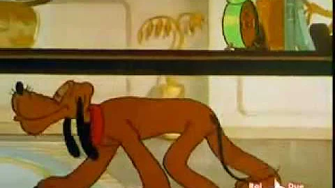 Come si chiama il cane di Pluto?