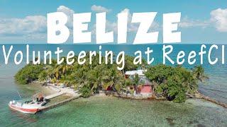 Belize - Volunteering at ReefCI