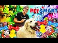 Buying ANYTHING My Dog SNIFFS At PET SMART!