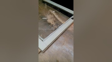 Removing window putty using multimaster tool.