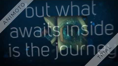 Independent Reading Assignment