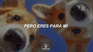 Eres Para Mí - Julieta Venegas ft. Ana Tijoux | Letra