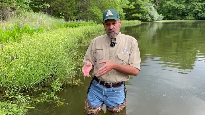 Habitat Hints - Grass Carp