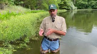 Habitat Hints - Grass Carp