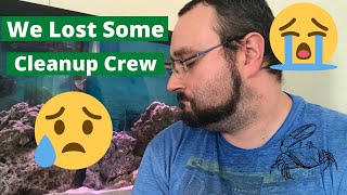 We lost some of our Clean Up Crew! || Saltwater Tank Loss.