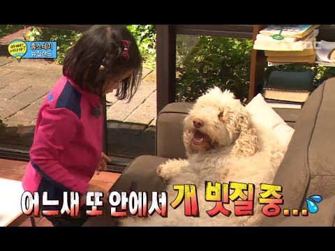 타고난 친화력! 혼자서도 잘노는 빈이, #05, 일밤 20131208