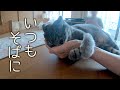 はなちゃんとばーばの、ずっと一緒の日常。