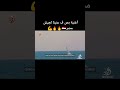 اغنية بص في عنيا للجيش المصري اكسبلور صباح الخير 
