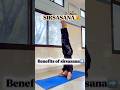 Sirsasana ke 6 fayde | Benefits of Shirshasana in Hindi |Yogasana🧘‍♂️| Sirsasana #YogaShort#shorts