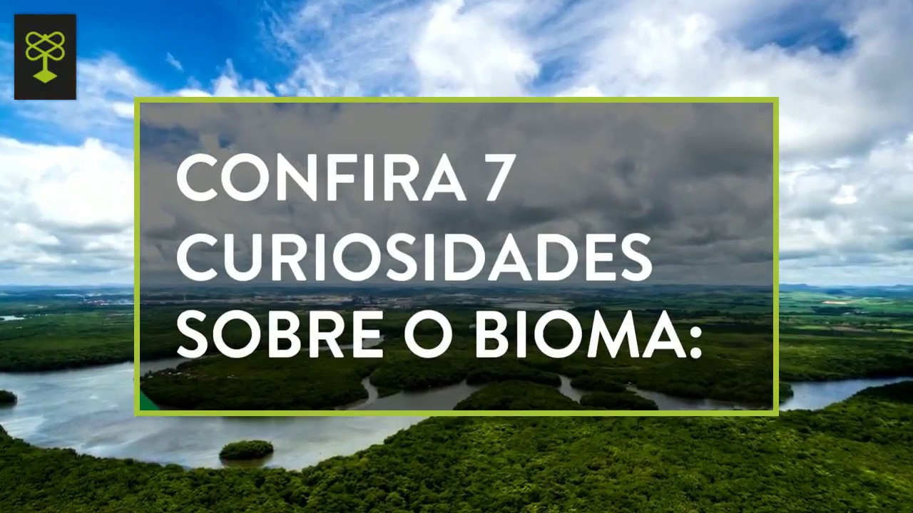 7 curiosidade sobre a Amazônia