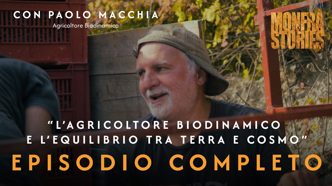Monfrà Stories