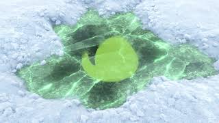 Snow Logo  After Effects  After Effects Project