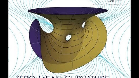 Zero Mean Curvature Surfaces in Lorentz Minkowski Spaces (Lecture 1)  by Shoichi Fujimori