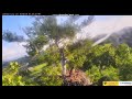 Johnson City 6/6/24 JC23 &amp; 24 Soaring around the tree!