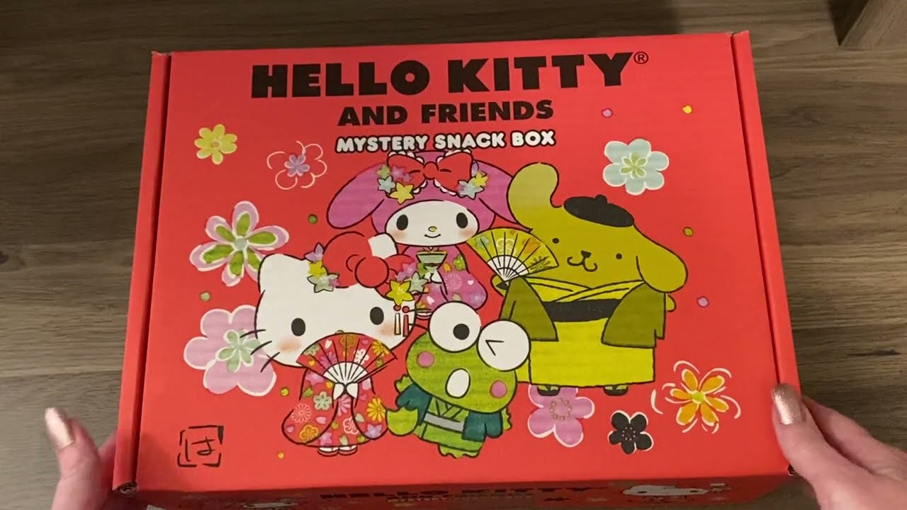 Hello Sanrio Mystery Snack Box | FYE