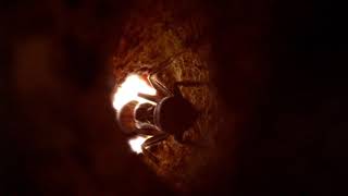 Azteca Ant Entrance Close Up