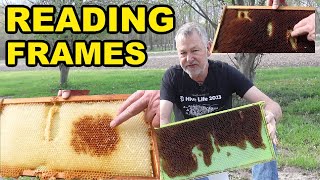 Beekeeping | How To Read Frames & Can You REUSE Old Frames?