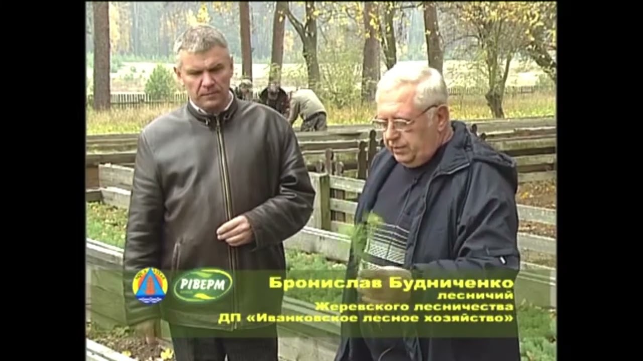 Рідке органічне добриво «РИВЕРМ» використання в лісових розсадниках
