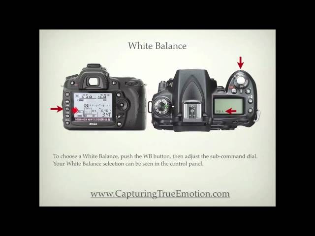 Nikon D90 Settings - YouTube
