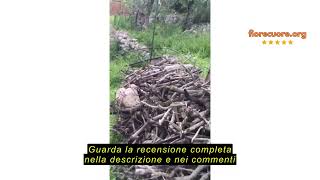 Recensione del Claber Aquauno Select, programmatore a rubinetto a una via