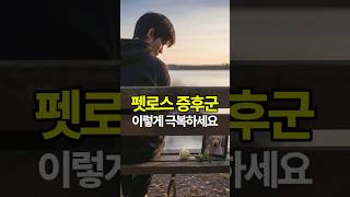 펫로스 경험자 83%가 느끼는 우울감, 극복 방법은?