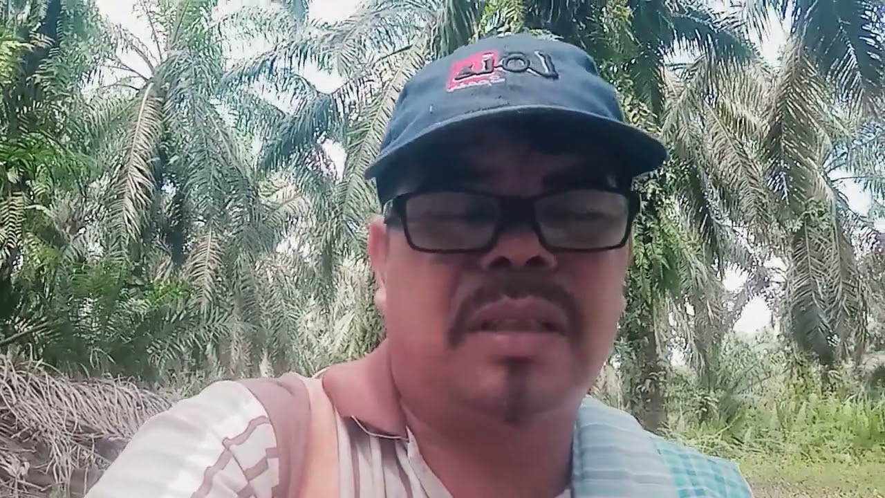 DI JOLO NI ISE DO PARJAMBARAN?JUHUT,MOLO ULAON MAMASUKI BAGAS? Hatorangan na