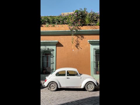 Vídeo: Una setmana a la ciutat d'Oaxaca i Huatulco