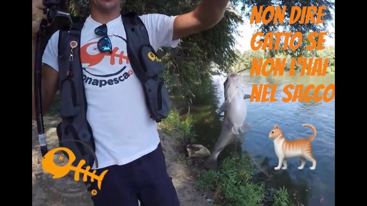 Non Dire Gatto Se Non L'hai Nel Sacco