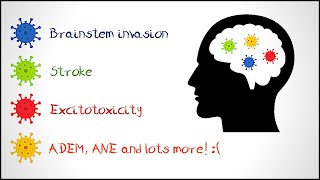 COVID-19 and the brain...and what you can do about it!