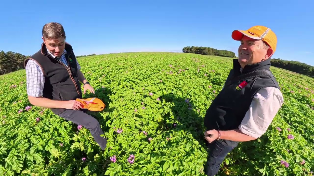 William Shakeshaft - MD of Greens of Soham - Beanstalk.Global & CUPGRA UK Potato Tour.