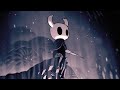 Hollow Knight- Path of pain or Fight with hollow knight