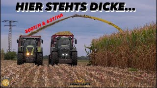 HIER STEHTS DICKE...  300T/H & 63T/HA LU Nordost in der 1600ha Maisernte John Deere 9800i im Einsatz