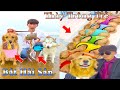 Thú Cưng TV | Dương KC Pets | Gia Đình Gâu Đần #16 | Chó thông minh vui nhộn | funny cute smart dog