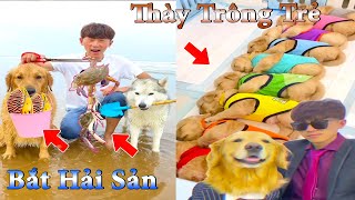 Thú Cưng TV | Dương KC Pets | Gia Đình Gâu Đần #16 | Chó thông minh vui nhộn | funny cute smart dog