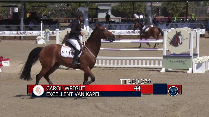 Class 12 - Excellent van Kapel - Carol Wright