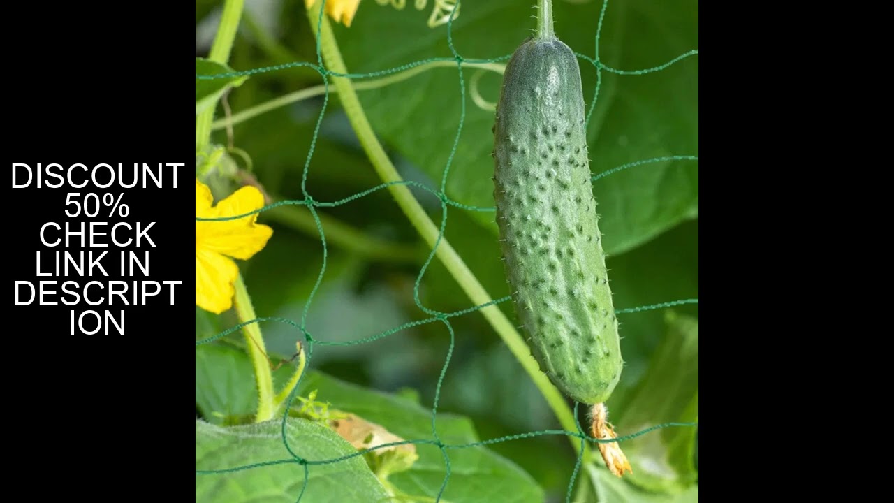 3-5m Garden Plants Trellis Cages Netting Garden Vine Growing Flexible supports Net for Climbing Plan