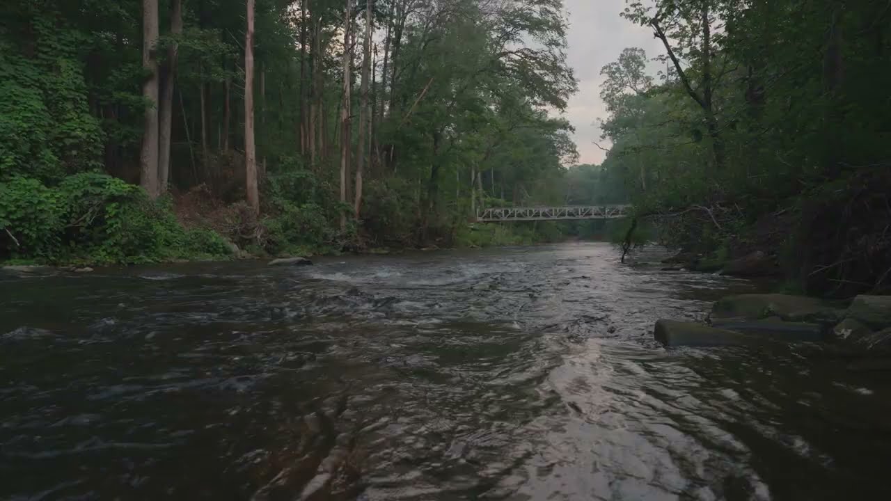 ASMR Relaxing Water Sounds Camping On The Davidson River at Sunset 