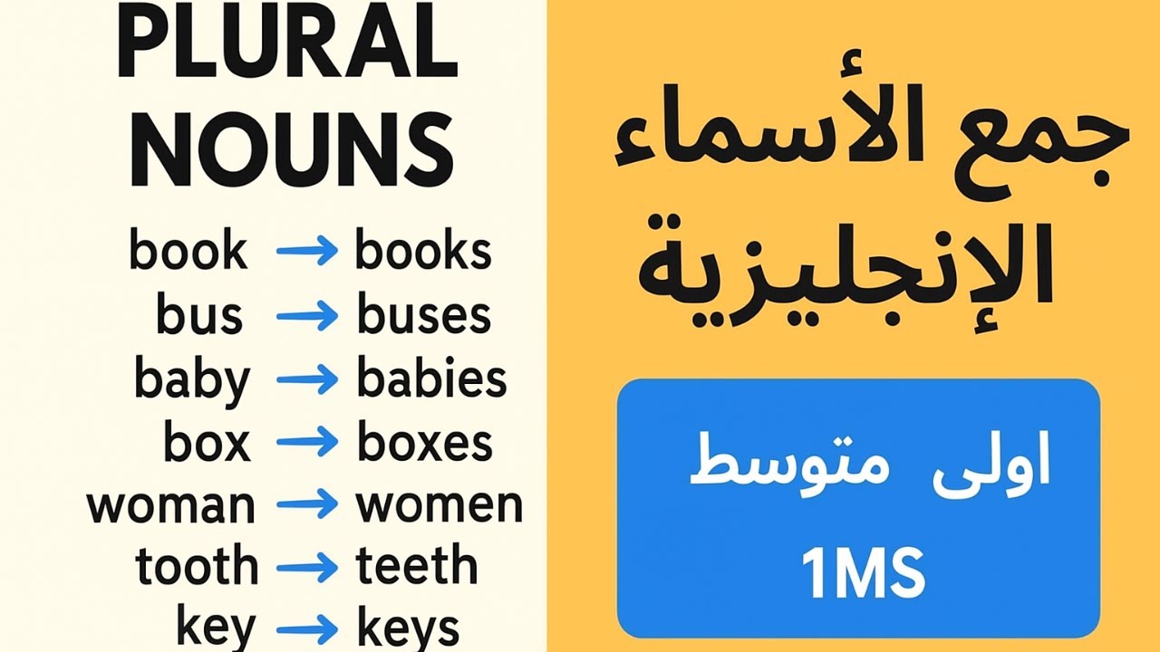 📘 جمع الأسماء في الإنجليزية | قواعد Plural Nouns بسهولة | أولى متوسط 1MS