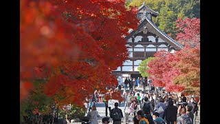 古都も秋の装い　紅葉ピークの京都・天龍寺