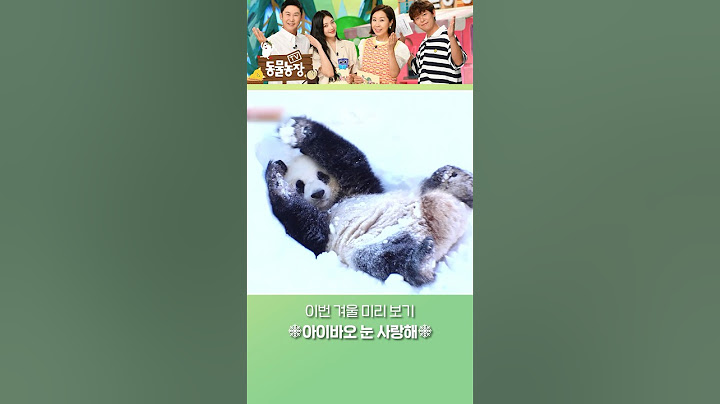 ☃️눈판다 아이바옹 눈을 사랑해주세요🐼🤍❄️ #shorts