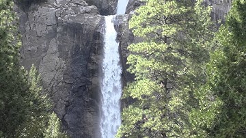 Thác nước tuyệt đẹp trong rừng thông