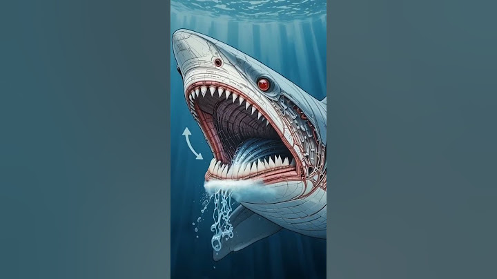 Hiu yang Tidak Bisa Diam #faktaunik #trendingshorts #videoshort #shortvideo #animals #factshorts