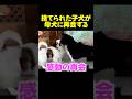 捨てられた子犬が母犬に再会すると... #感動する話 #動物保護 #泣ける話