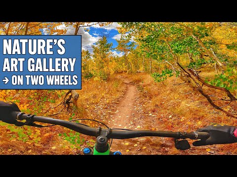 The Most Beautiful MTB Trail I’ve Ever Ridden (WOW Trail)