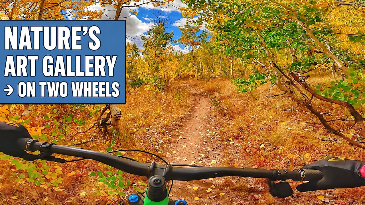 Самая красивая трасса для горного велосипеда, по которой я когда-либо ездил (WOW Trail)