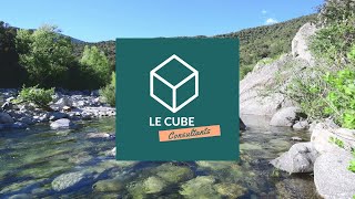 Présentation Le Cube Consultants